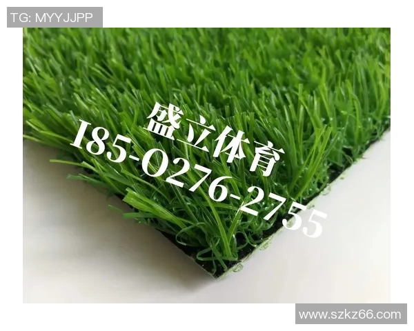 足球场地草皮维护现状分析与提升策略探讨