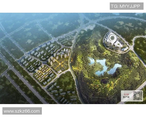 冰雪赛事效率评估与优化策略分析报告